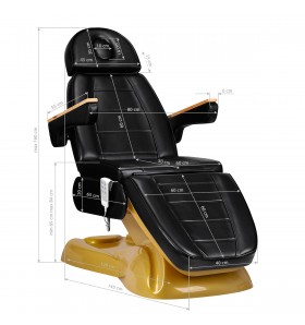 Elektrische Kosmetikliege SILLON LUX 273B 3 Motoren Gold Schwarz